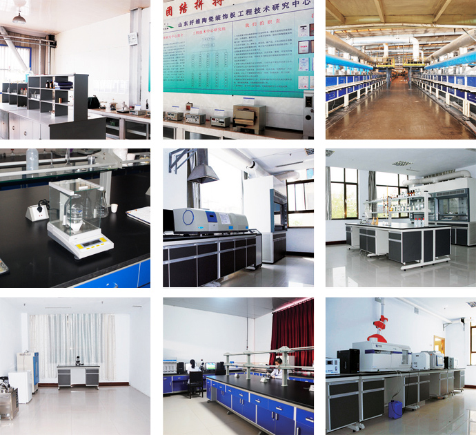 山東德惠來裝飾瓷板有限公司